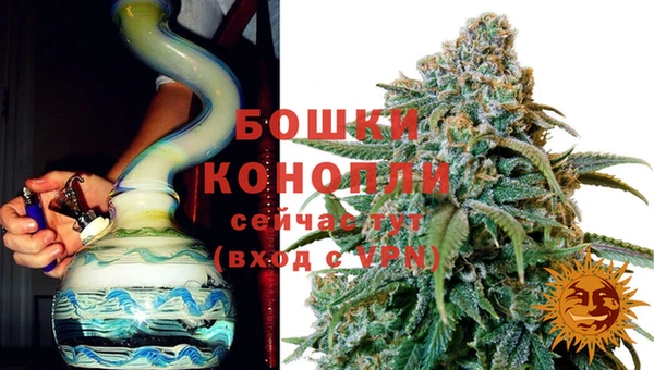 трава Арсеньев
