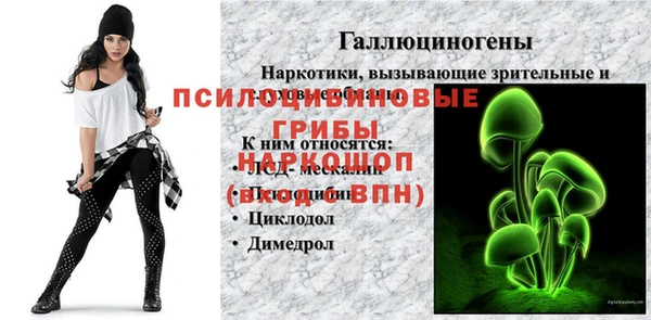 стафф Армянск