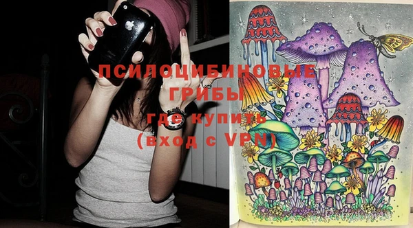 стафф Армянск