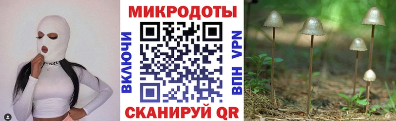 цены   Белая Холуница  Псилоцибиновые грибы Cubensis 